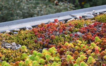 the cost of Ysgeibion green roof installation
