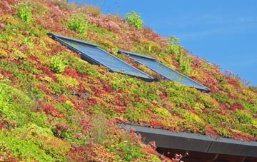 Ysgeibion living roof systems