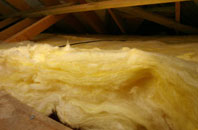 Ysgeibion pitch roof insulation